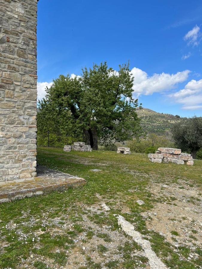 Agriturismo Cervinace Oriolo  Ngoại thất bức ảnh